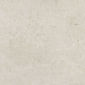 Daltile Dignitary 12" x 24"-Porcelain Tile-Daltile-Luminary White-12" x 24"-State Tile