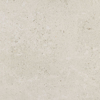Daltile Dignitary 12" x 24"-Porcelain Tile-Daltile-Luminary White-12" x 24"-State Tile