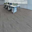Matrexx Luminous 717 19.70" x 19.70"-Carpet Tile-Matrexx-State Tile