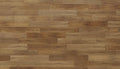 Mannington Adura Max Plank Calico 7.10" x 48"