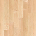 Boen Live Matt Plank 5.43" x 86.62"-Hardwood Plank-Boen-Maple Canadian-5.43" x 86.62"-State Tile