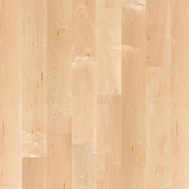Boen Live Matt Plank 5.43" x 86.62"-Hardwood Plank-Boen-Maple Canadian-5.43" x 86.62"-State Tile