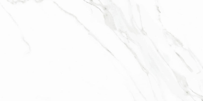 Alfagres Naos 12" x 24"