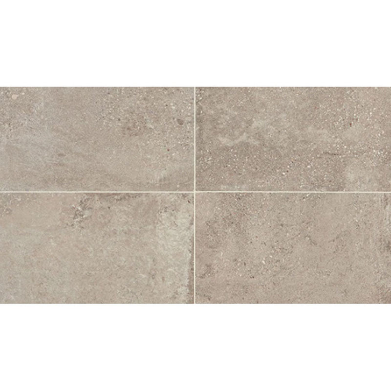 Daltile Museo 24" x 48"-Porcelain Tile-Daltile-Natural Grey-24" x 48"-State Tile