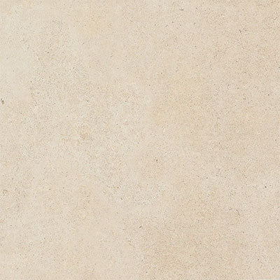 Daltile Haut Monde 12" x 24"-Porcelain Tile-Daltile-Nobility White-12" x 24"-State Tile