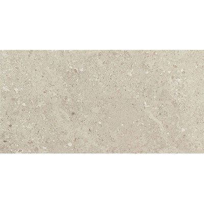 Daltile Dignitary 24" x 48"-Porcelain Tile-Daltile-Notable Beige-24" x 48"-State Tile
