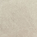 Daltile Dignitary 12" x 24"-Porcelain Tile-Daltile-Notable Beige Polished-12" x 24"-State Tile