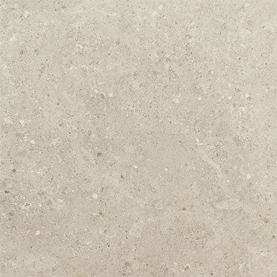 Daltile Dignitary 12" x 24"-Porcelain Tile-Daltile-Notable Beige Polished-12" x 24"-State Tile