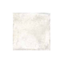 Soho Studio Caruso 12" x 12"