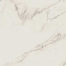 Marazzi Classentino 24" x 24"-Porcelain Tile-Marazzi-Palazzo White Matte-24" x 24"-State Tile