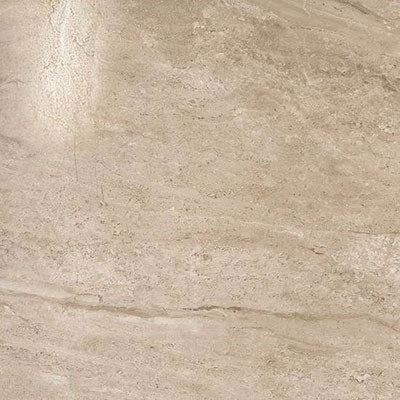 American Olean Scene 24" x 24"-Porcelain Tile-American Olean-Ridge Polished-24" x 24"-State Tile