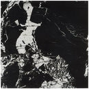 Soho Studio Concorde 30" x 30"