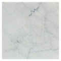 Soho Studio White Carrara 12" x 12"