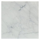 Soho Studio White Carrara 12" x 12"