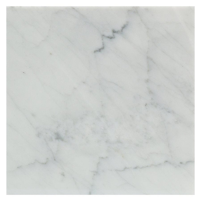 Soho Studio White Carrara 12" x 12"