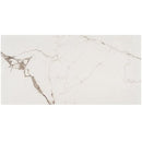 Soho Studio Lithe 24" x 48"