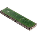 Soho Studio Bahari 3" x 11.87"