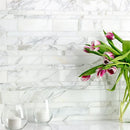 Soho Studio Calacatta Tuscany 12" x 18" Calacatta