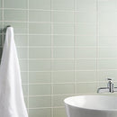 Soho Studio Stacy Garcia Maddox Frame 4" x 8" Mineral Green