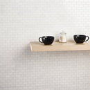 Soho Studio White Thassos 1 x 2 12" x 12" White Thassos