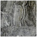 Atlantic Stone Source Marble Tiles 5/8" 24" x 24"-Marble Tile-Atlantic Stone Source-Silver Fantasy-24" x 24"-State Tile