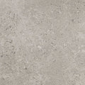 Daltile Dignitary 12" x 24"-Porcelain Tile-Daltile-Superior Taupe Polished-12" x 24"-State Tile
