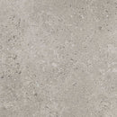 Daltile Dignitary 12" x 24"-Porcelain Tile-Daltile-Superior Taupe Polished-12" x 24"-State Tile