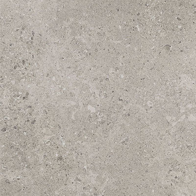 Daltile Dignitary 12" x 24"-Porcelain Tile-Daltile-Superior Taupe Polished-12" x 24"-State Tile