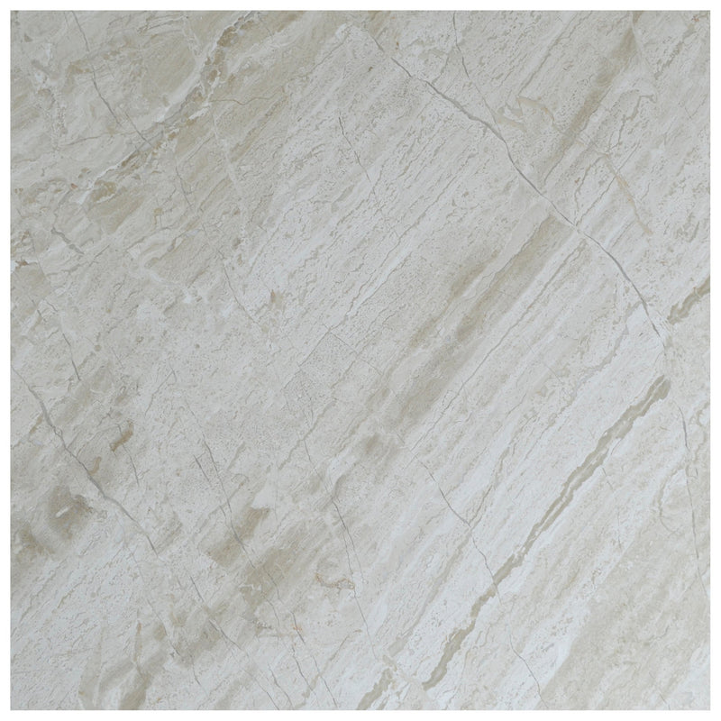 Atlantic Stone Source Marble Tiles 18" x 18"-Marble Tile-Atlantic Stone Source-Venice Marble-18" x 18"-State Tile