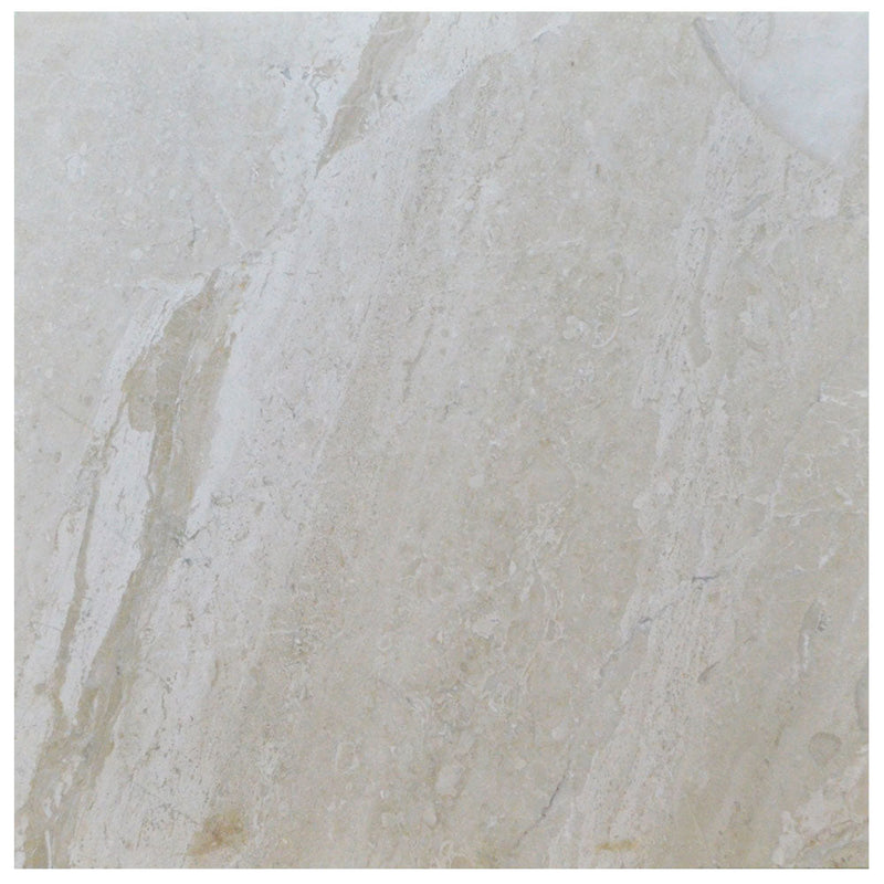 Atlantic Stone Source Marble Tiles 1/2" 24" x 24"-Marble Tile-Atlantic Stone Source-Venice-24" x 24"-State Tile