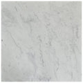 Atlantic Stone Source Marble Tiles 3/4" 24" x 24"-Marble Tile-Atlantic Stone Source-Volakas-24" x 24"-State Tile