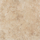 Daltile Builder Select Plateau 9" x 12"-Tile-Daltile-Warm Beige-9" x 12"-State Tile