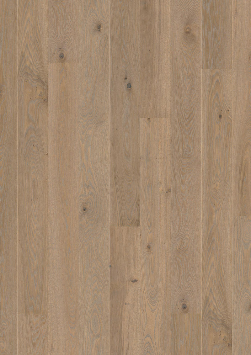 Boen Builder Select Live Pure 5.5" x 86.62"-Hardwood Plank-Boen-Oak Warm Grey-5.5" x 86.62"-State Tile
