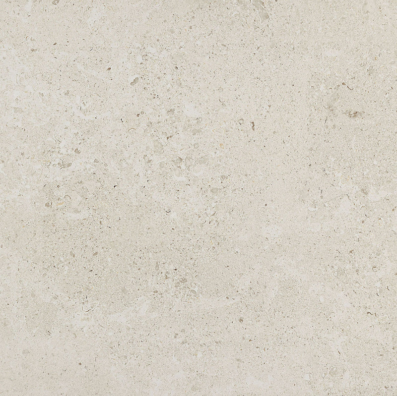 Daltile Dignitary 24" x 24"-Porcelain Tile-Daltile-Luminary White-24" x 24"-State Tile