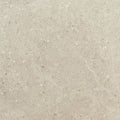 Daltile Dignitary 24" x 24"-Porcelain Tile-Daltile-Notable Beige-24" x 24"-State Tile