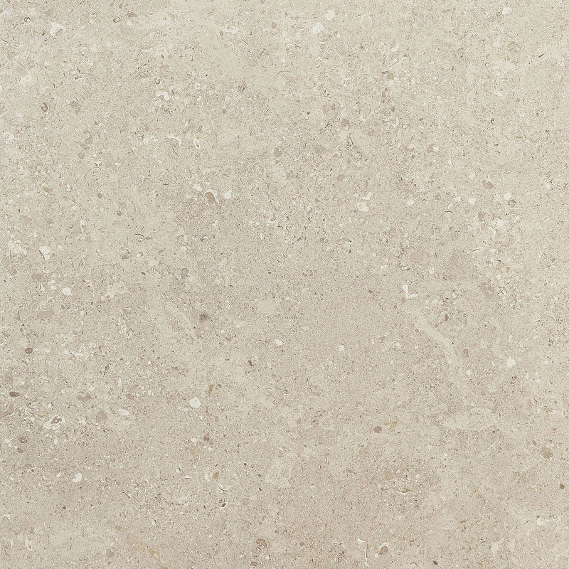 Daltile Dignitary 24" x 24"-Porcelain Tile-Daltile-Notable Beige-24" x 24"-State Tile