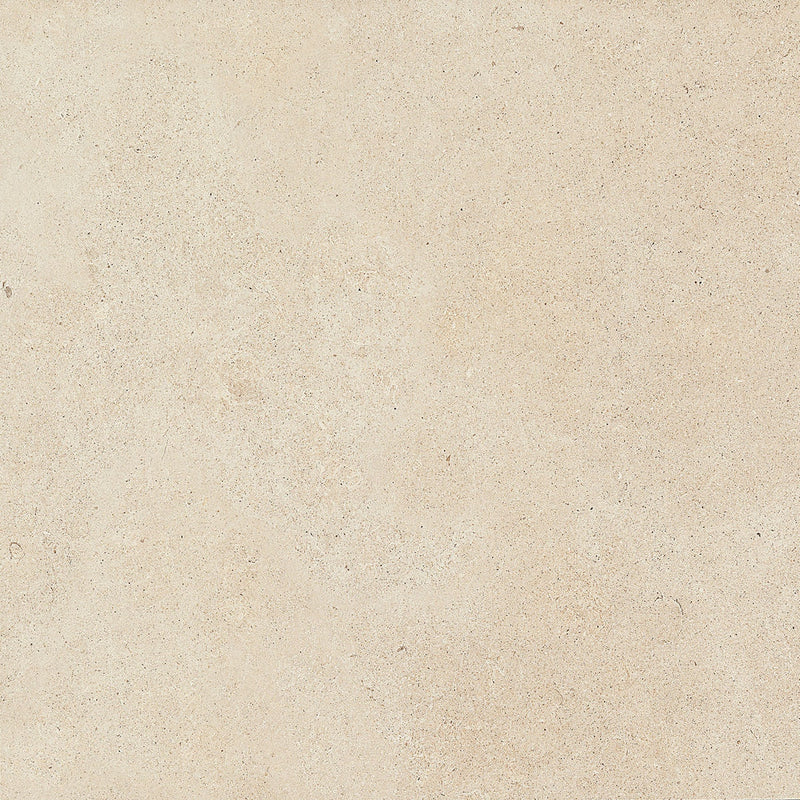Daltile Haut Monde 12" x 12"-Porcelain Tile-Daltile-Nobility White Unpolished-12" x 12"-State Tile