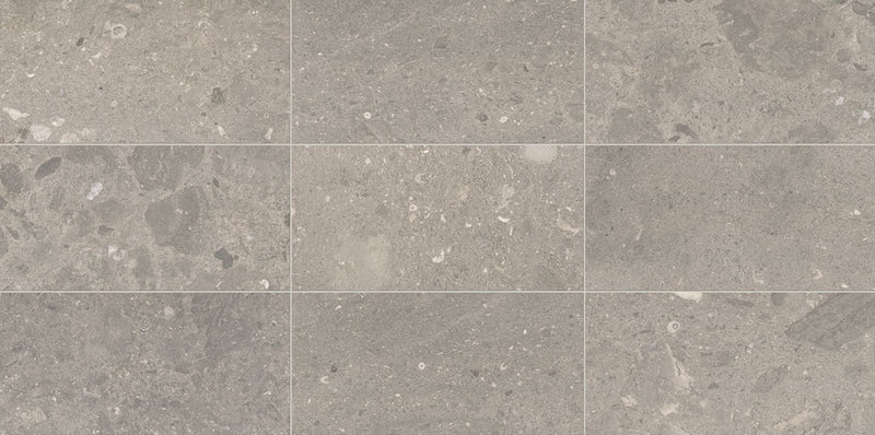 Daltile Center City 12" x 24"-Natural Stone Tile-Daltile-Arch Grey-12" x 24"-State Tile