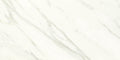 Daltile Florentine 12" x 24"-Porcelain Tile-Daltile-Carrara Wall-12" x 24"-State Tile