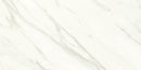 Daltile Florentine 12" x 24"-Porcelain Tile-Daltile-Carrara Wall-12" x 24"-State Tile