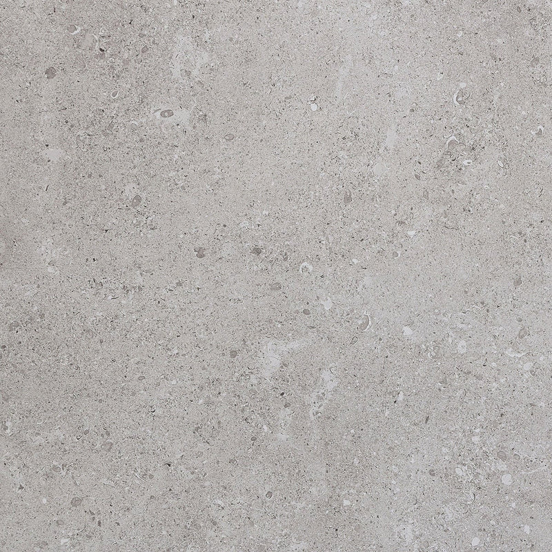 Daltile Dignitary 24" x 24"-Porcelain Tile-Daltile-Eminence Grey-24" x 24"-State Tile