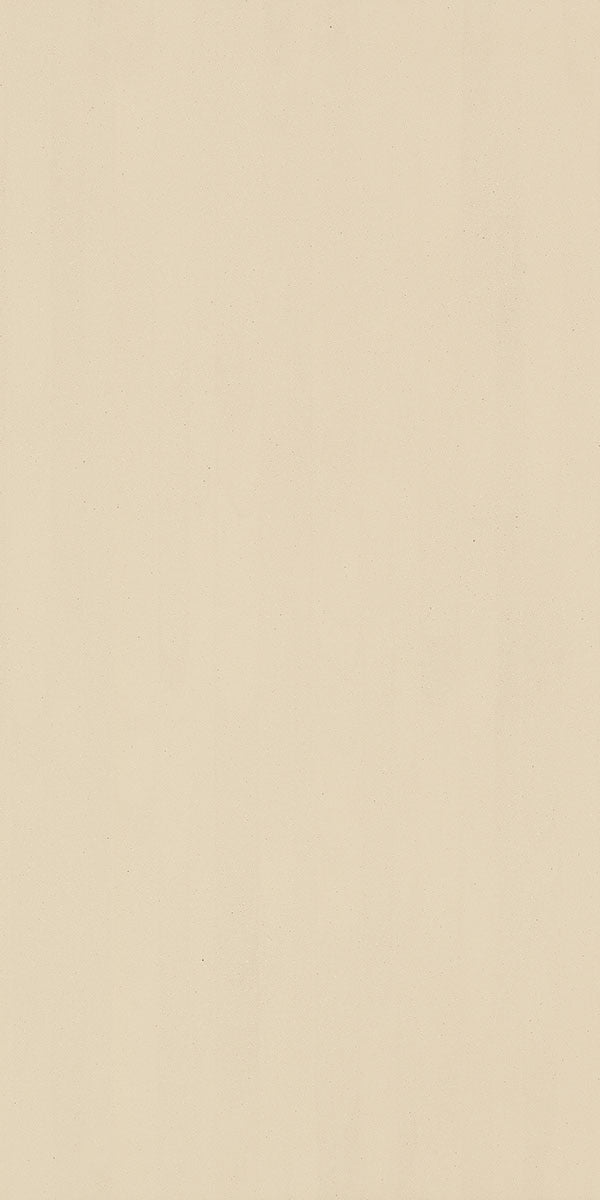 Daltile Formula 24" x 48"-Porcelain Tile-Daltile-Planes Taupe Unpolished-24" x 48"-State Tile