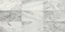 Daltile Raine 12" x 24"-Marble Tile-Daltile-Stratus White Honed-12" x 24"-State Tile