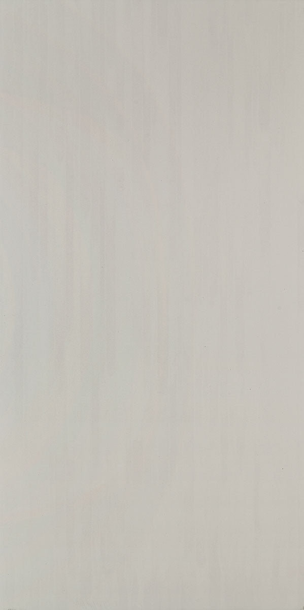 Daltile Formula 12" x 24"-Porcelain Tile-Daltile-Equation Grey Unpolished-12" x 24"-State Tile