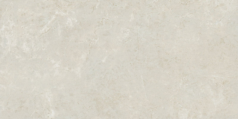 Daltile Florentine 12" x 24"-Porcelain Tile-Daltile-Argento Wall-12" x 24"-State Tile