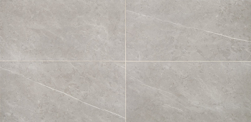 Daltile Resilience 12" x 24"-Ceramic Tile-Daltile-Stamina Grey-12" x 24"-State Tile
