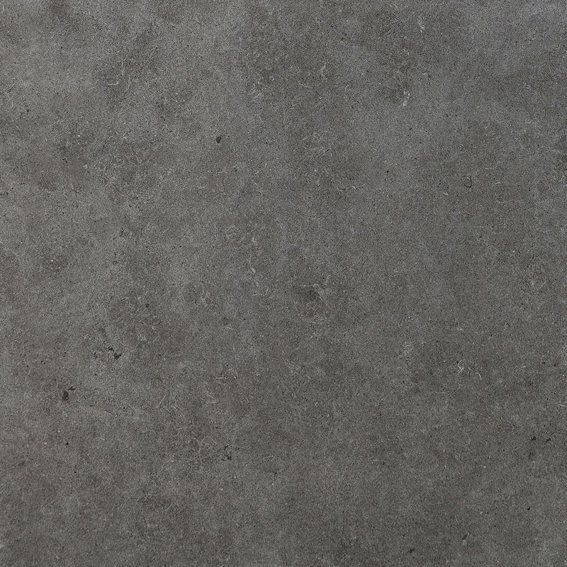 Daltile Haut Monde 12" x 12"-Porcelain Tile-Daltile-Empire Black Unpolished-12" x 12"-State Tile