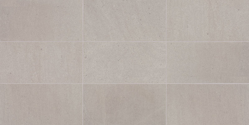 American Olean Candora 12" x 24"-Natural Stone Tile-American Olean-Demure Gray Polished-12" x 24"-State Tile