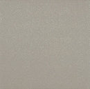 American Olean Quarry Naturals 8" x 8"-Quarry Tile-American Olean-Shadow Gray Abrasive-8" x 8"-State Tile