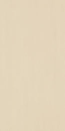 Daltile Formula 12" x 24"-Porcelain Tile-Daltile-Planes Taupe Unpolished-12" x 24"-State Tile